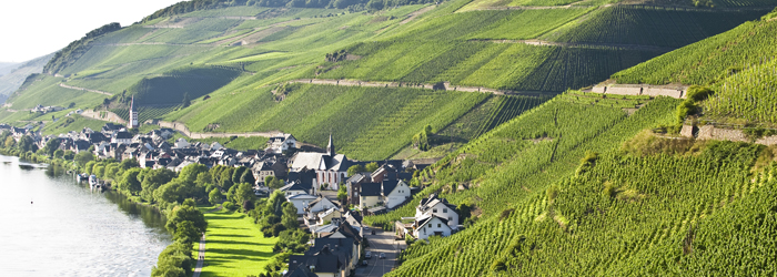 weinlagen in Zell Merl