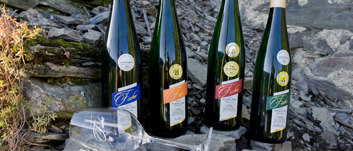 weinflaschen im Weinberg